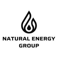 Logo for Natural Energy Field Services, LLC (NEFS)